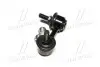 Фото 2 - стойка стаб передняя ось R Nissan Primera 01-08 (выр-во) CTR CL0464 Стойка стаб передняя ось R Nissan Primera 01-08 (выр-во) CTR CL0464 (фото 2)