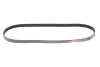 Ремінь генератора Ford Mondeo V 2.0 EcoBoost 14- (4PK914) Gates 4PK914SF (фото 1)