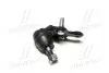 Опора кульова (передня/знизу) Toyota Camry 01-11/Lexus RX 03-08 Пр. (CBT-57R) CB0402R