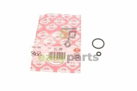Кільце ущільнююче (топливна система) VW Bora/Golf/Passat/T5 1.4-3.2 91-09 (к-кт 2 шт) (бензин) ELRING 100.780