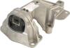 Подушка двигуна Duster/Logan 1.6 16V 06- Пр. RAPRO R51076 (фото 1)