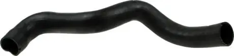 Патрубок интеркулера Fiat Doblo 1.9JTD 01- RAPRO R11667
