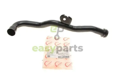 Патрубок системи охолодження Renault Kangoo 1.5 dCi 01- ROTWEISS RWS3366