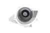 Помпа води Citroen C4/C5/C8/Jumpy/Fiat Scudo/Peugeot 308/407/508/Ford Focus/Mondeo 2.0HDi/TDCi 09- Contitech WP6093 (фото 2)