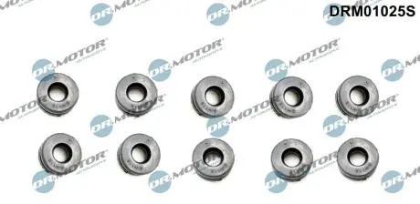 Втулка клапанної кришки, к-т 10 шт DR MOTOR DRM01025S