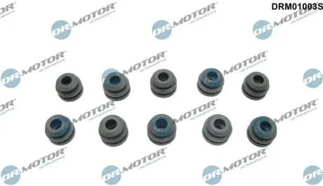 Втулка кожуха двигуна к-т, 10 шт DR MOTOR DRM01003S