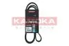 Ремiнь клиновий 6PK1538 Ford C-max II 10-19/Focus III 10-/KugaII 12-/Hyindai i10 19- KAMOKA 7016122 (фото 1)