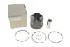 Поршень Renault Megane II/III 1.5dCi 03-/Kangoo 1.5dCi 08- (STD) RENAULT / DACIA 120A17699R (фото 5)