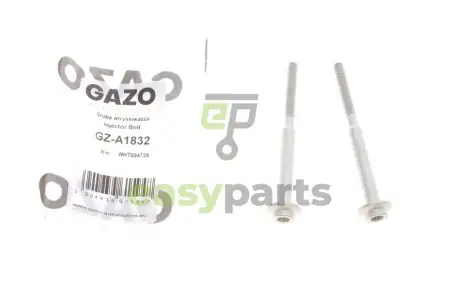 Болт кріплення форсунки VW Caddy/T5 2.0TDI 10- (к-кт 2шт.) GAZO GZ-A1832
