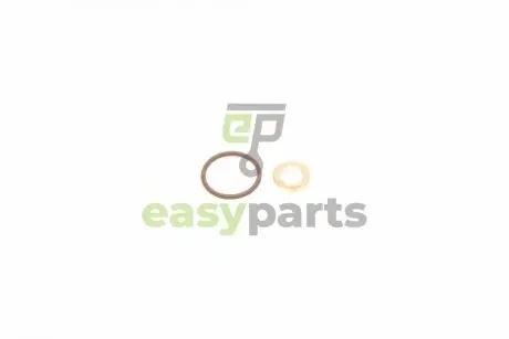 Шайба під форсунку Volvo XC60/XC60/V60 2.0 07-16 (+ущільнювач) GAZO GZ-A2035