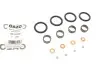 Ремкомплект форсунки Citroen C1/C2/C3/Peugeot 107 1.4 HDi 03- GAZO GZ-A1149 (фото 1)