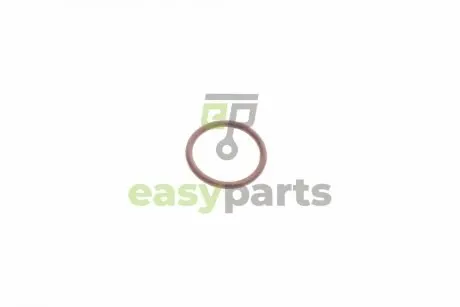 Ремкомплект форсунки Honda Accord/Civic/CR-V/FR-V 2.2 CTDi 04- GAZO GZ-A1119