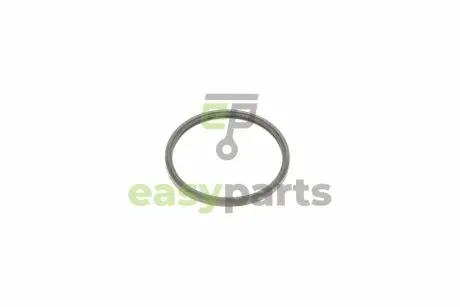 Прокладка термостата Citroen Jumper/Peugeot Boxer 2.2 HDi 06- ELRING 446.020