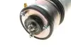 Фото 6 - амортизатор (задній) BMW 7 (E65/E66/E67) 01-08 M54/M57/M67/N52/N62/N73 (пневмо) (R) BOGAP B3426124 Амортизатор (задній) BMW 7 (E65/E66/E67) 01-08 M54/M57/M67/N52/N62/N73 (пневмо) (R) BOGAP B3426124 (фото 6)
