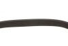 Ремінь генератора VW Golf V/Passat/Touran 1.4TSI 05-/Skoda Fabia 1.4 TSI RS 10-14 (5PK491) FEBI BILSTEIN 176318 (фото 3)