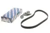 Комплект ГРМ Nissan Primera/Renault Megane II 1.9dCi 02- 1987946710