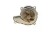 Помпа води BMW X1 (F48) 14- B47 C20 BUGATTI PA10266 (фото 8)