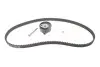 Комплект ГРМ VW Caddy II 1.4i 95-04 (19x135z) 1987948984