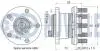 FORD К-кт подшипника ступицы с датчиком ABS KUGA II 13- RUVILLE 221854 (фото 2)