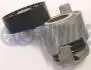 RUVILLE RENAULT Натяжитель ремня Clio, Kangoo, Laguna 01- 541927