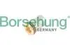 Клапан Обратный BORSEHUNG B12241 (фото 1)