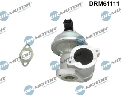 Клапан рециркуляції газів DR MOTOR DRM61111