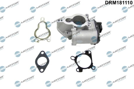 Клапан рециркуляції газів DR MOTOR DRM181110