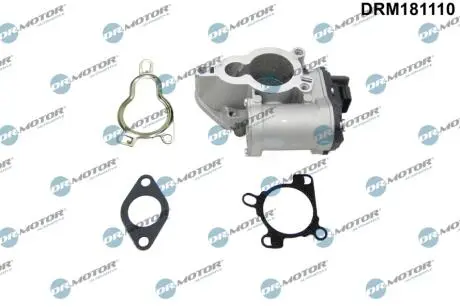 Клапан рециркуляции газов DR MOTOR DRM181110