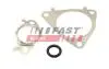 Прокладка клапана к-кт EGR CITROËN JUMPER 3.0HDi 06- FIAT DUCATO 3,0D 06- IVECO DAILY 3.0D 99-14 FAST FT50617 (фото 1)