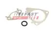 Прокладка клапана к-кт EGR CITROËN JUMPER 3.0HDi 06- FIAT DUCATO 3,0D 06- IVECO DAILY 3.0D 99-14 FAST FT50617 (фото 2)