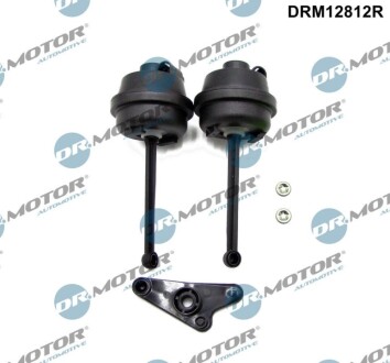 Ремкомплект впускного коллектора DR MOTOR DRM12812R