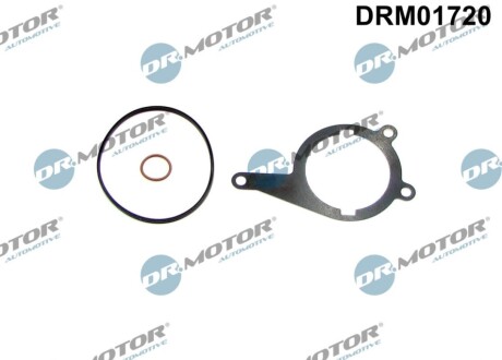 Комплект прокладок з різних матеріалів DR MOTOR DRM01720