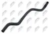 ENGINE WATER HOSE NTY CPP-RE-004 (фото 1)
