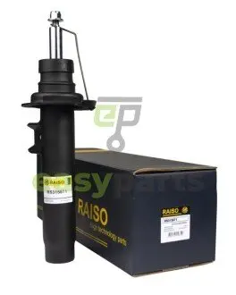 Амортизатор передній BMW 3 (F30/F80) xDrive 11- Пр. (газ.) RAISO RS315871