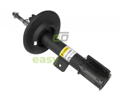 Амортизатор передній прав. C4 09- RAISO RS315989
