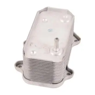 Масляный раллиатор Bapmic BF0426490091