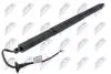 TAILGATE GAS SPRING NTY AE-CH-064 (фото 1)