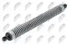 TAILGATE GAS SPRING NTY AE-BM-116 (фото 1)