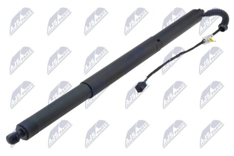 TAILGATE GAS SPRING NTY AE-AU-098