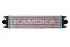Iнтеркулер NISSAN INTERSTAR 02-11/OPELMOVANO A 99-10/RENAULT MASTER 97- KAMOKA 7750052 (фото 1)