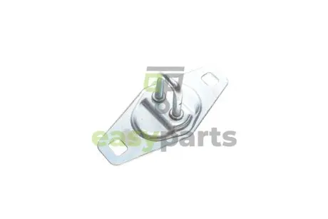 Петля дверей (задніх) Fiat Fiorino/Peugeot Bipper 07- ROTWEISS RWS2935