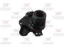 Подушка двигуна RODRUNNER R0249054 (фото 1)