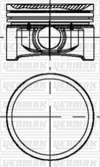 Поршень с кольцами і пальцем (размер отв. 69.00/ STD) RENAULT Clio, Logan, 1,2 (D4F 740-728-730 75PS) Yenmak 31-04184-000 (фото 1)