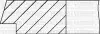 Комплект поршневих кілець (на 1 поршень) CITROEN SCUDO 1.6 JTD (75/STD) (3/1.95/2.5) Yenmak 91-09168-000 (фото 2)