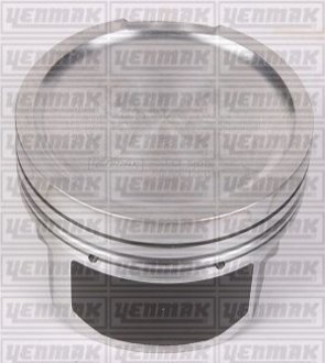 Поршень с кольцами і пальцем (размер отв. 81.01 / STD) AUDI 1.8T 20V (AEB) Yenmak 31-03296-000 (фото 1)