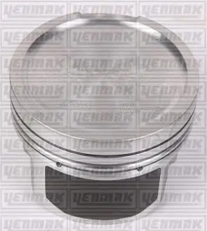 Поршень с кольцами і пальцем (размер отв. 81.01 / STD) AUDI 1.8T 20V (AEB) Yenmak 31-03296-000