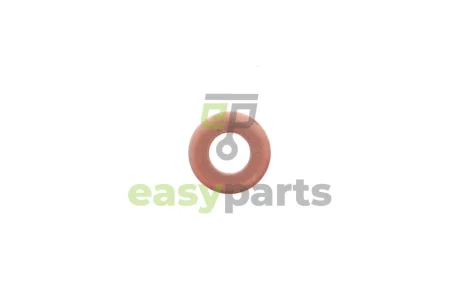 Шайба під форсунку Renault Trafic 1.9-2.5dCi 01- RENAULT / DACIA 166267685R