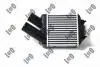 Радіатор інтеркулера Renault Megane/Scenic 1.5D/1.9D/2.0 96- Abakus 010-018-0001 (фото 1)