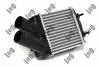 Радіатор інтеркулера Renault Megane/Scenic 1.5D/1.9D/2.0 96- Abakus 010-018-0001 (фото 2)