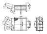 Радіатор інтеркулера Renault Megane/Scenic 1.5D/1.9D/2.0 96- Abakus 010-018-0001 (фото 3)